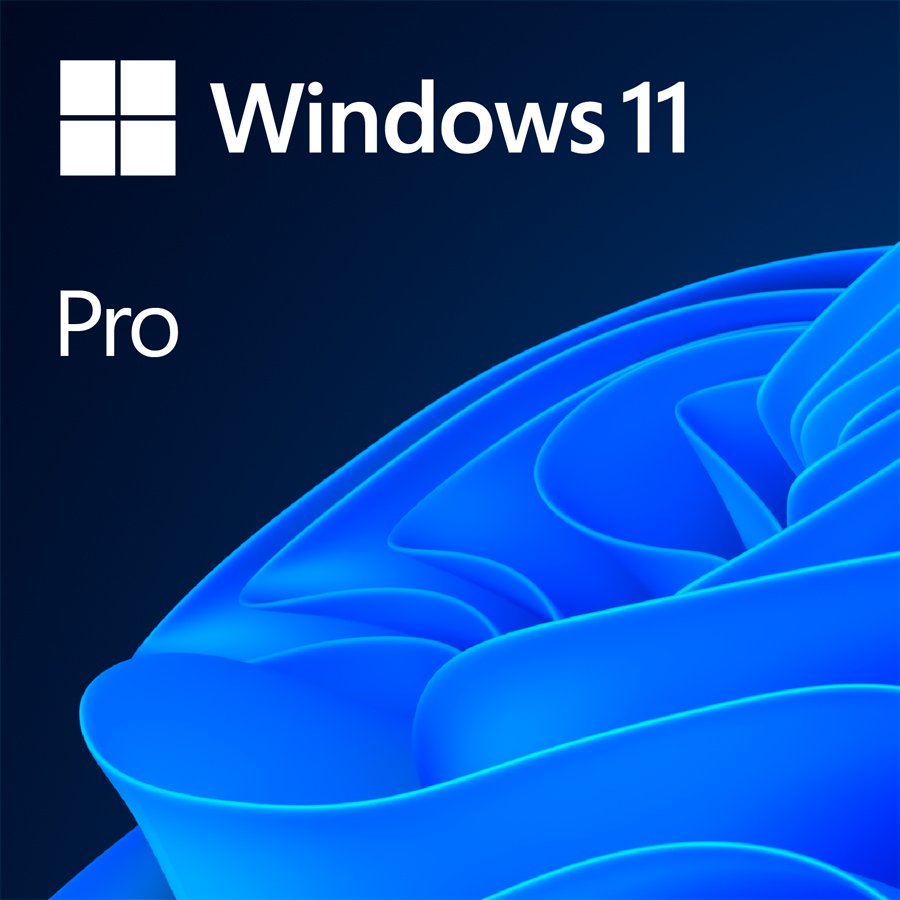 Windows 11 Professional 64Bit English