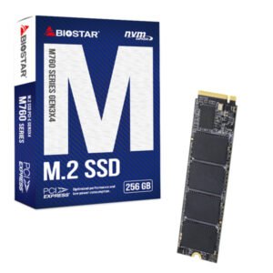 BIOSTAR 256GB SSD M.2, NVMe PCI-E Gen3x 4, 2280 M.2, R/W: 2800 MB/s 1150 MB/s